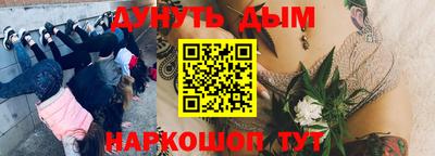 сатива Владивосток
