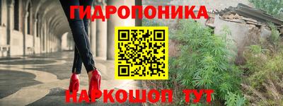 шишки Владикавказ
