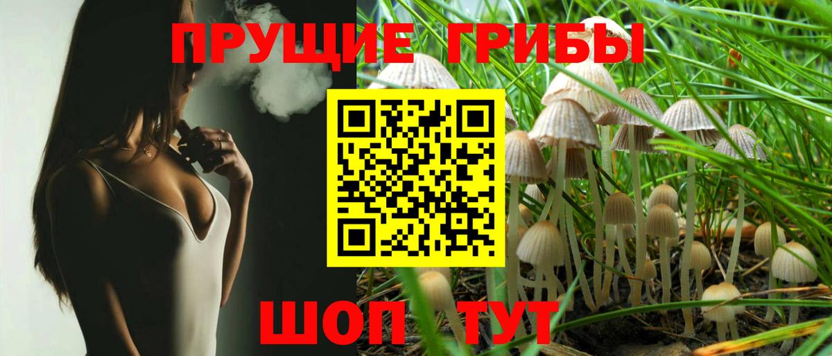 Черногорск  Галлюциногенные грибы мицелий  Вход с VPN 
